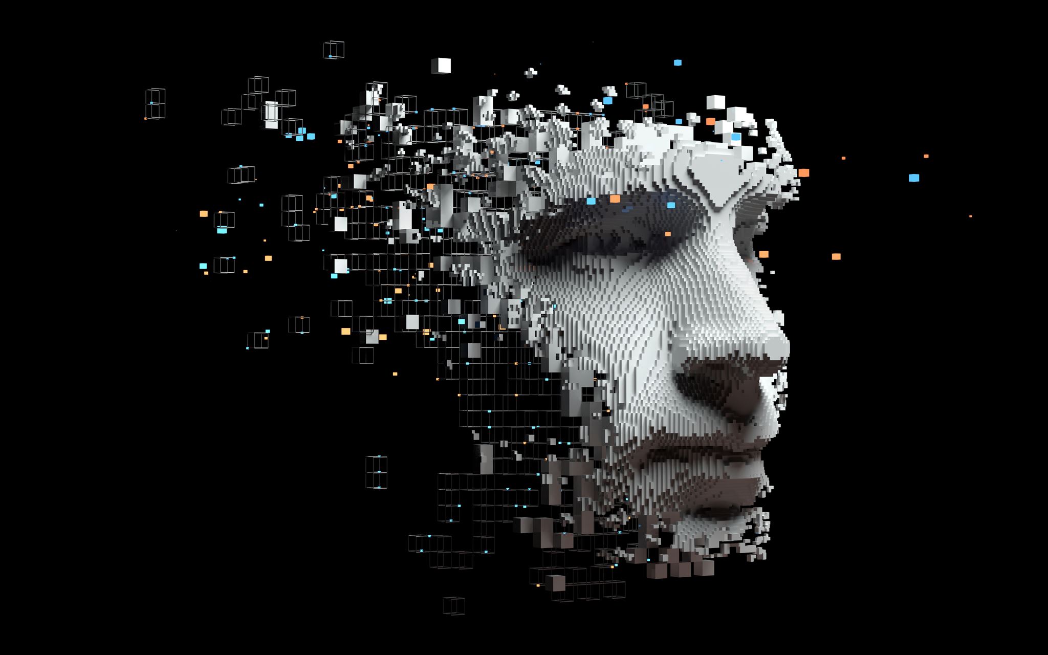 3D-face-graphic